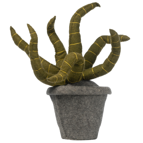 Kidsdepot Decoratie Sanseveria Plant